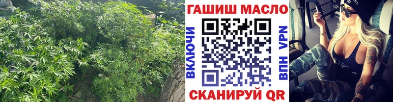 магазин    Гаврилов-Ям  Дистиллят ТГК вейп 